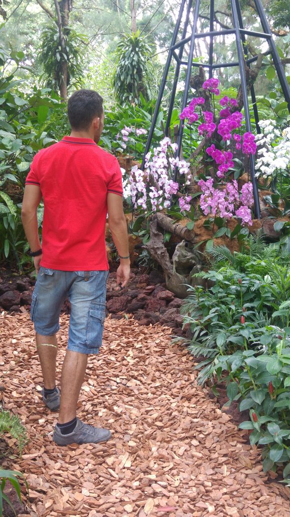 Jardín Nacional de Orquídeas