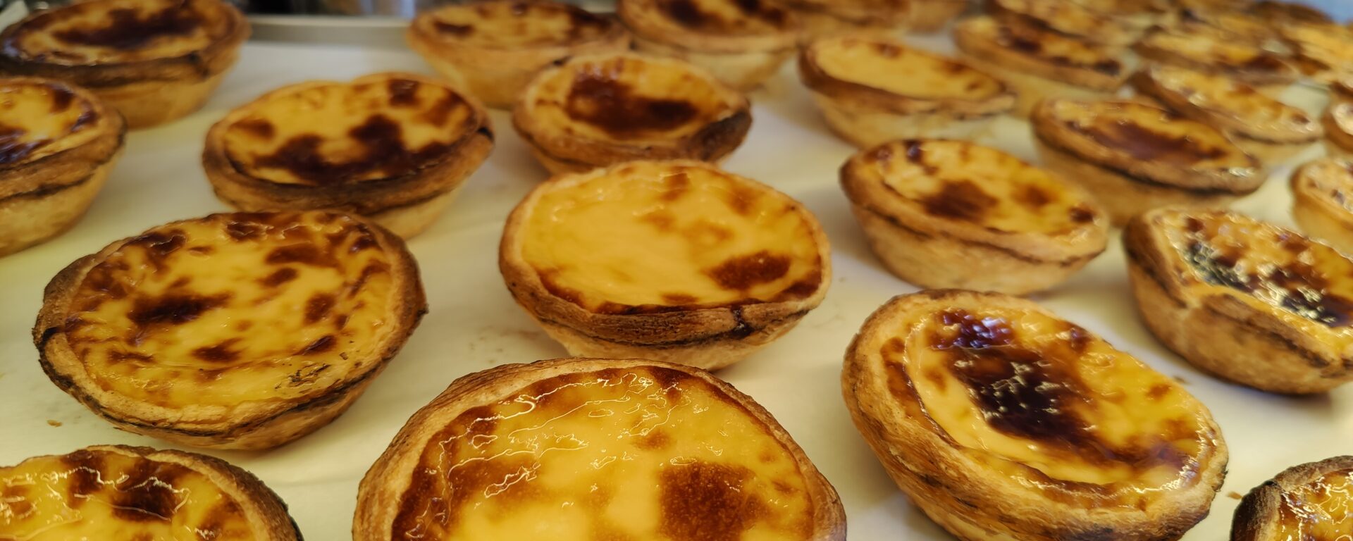 Donde comer Oporto pasteles de nata